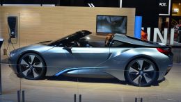 dsc_3925.0.jpg.medium.jpg