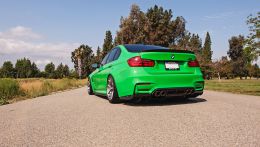 signal-green-f80-m3-1.jpg