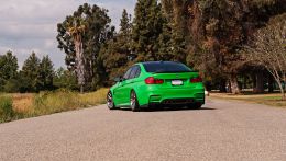 signal-green-f80-m3-7.jpg
